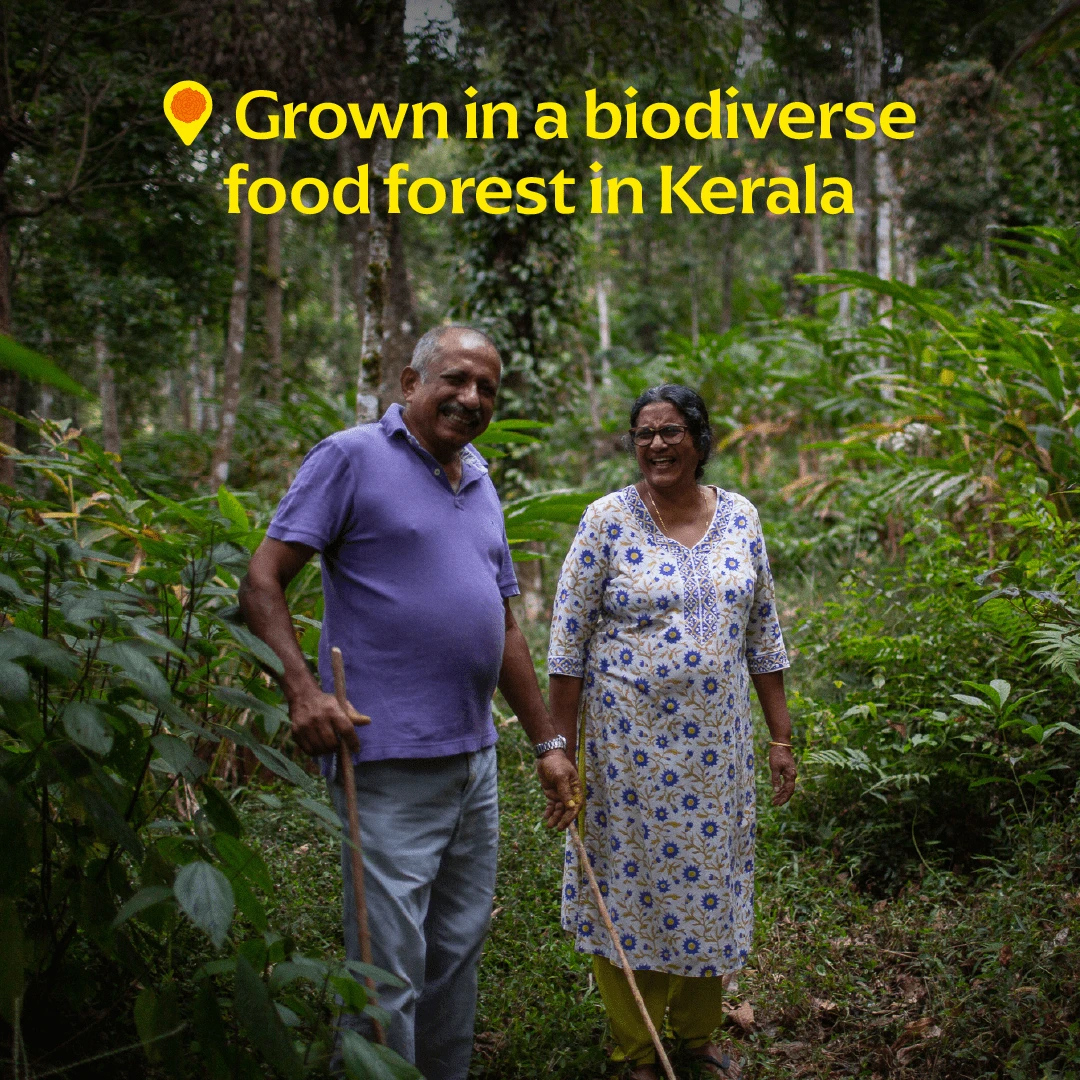 Baraka Cardamom 2 Baraka Cardamom - Image 2