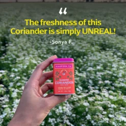 Nandini Coriander -Uniq Shop Nandini Coriander PDP 04 3