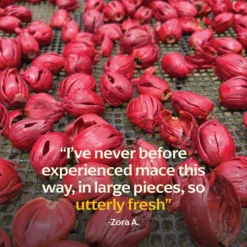 Anamalai Mace -Uniq Shop PDPassets 17