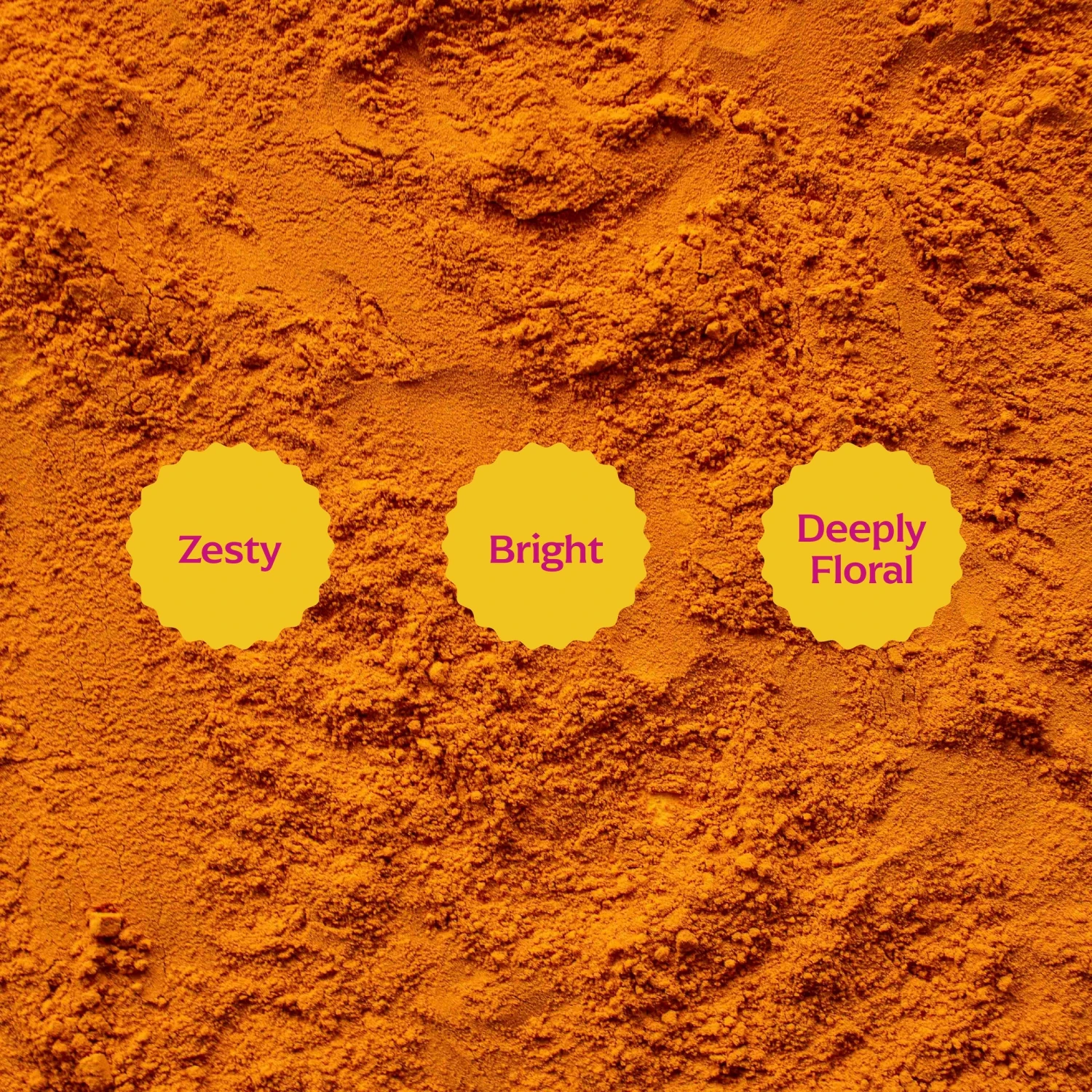 Pragati Turmeric 4 Pragati Turmeric - Image 4