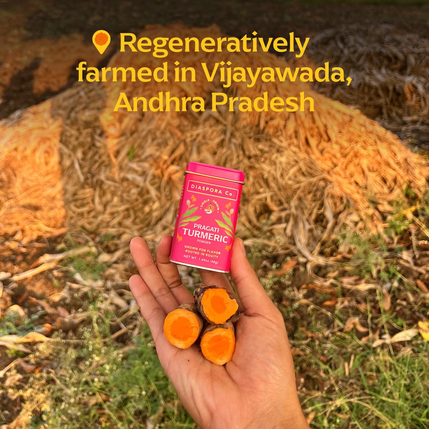 Pragati Turmeric 3 Pragati Turmeric - Image 3