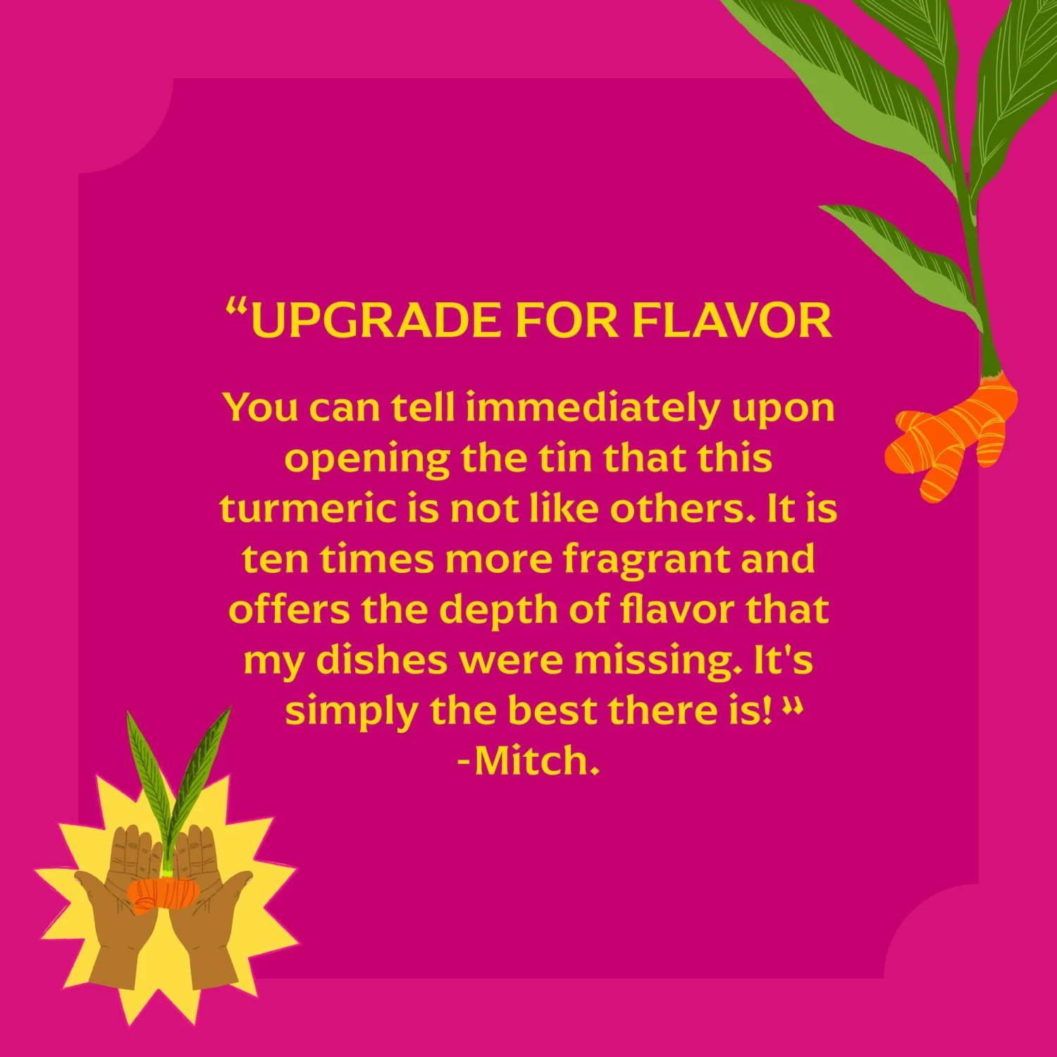 Pragati Turmeric 5 Pragati Turmeric - Image 5